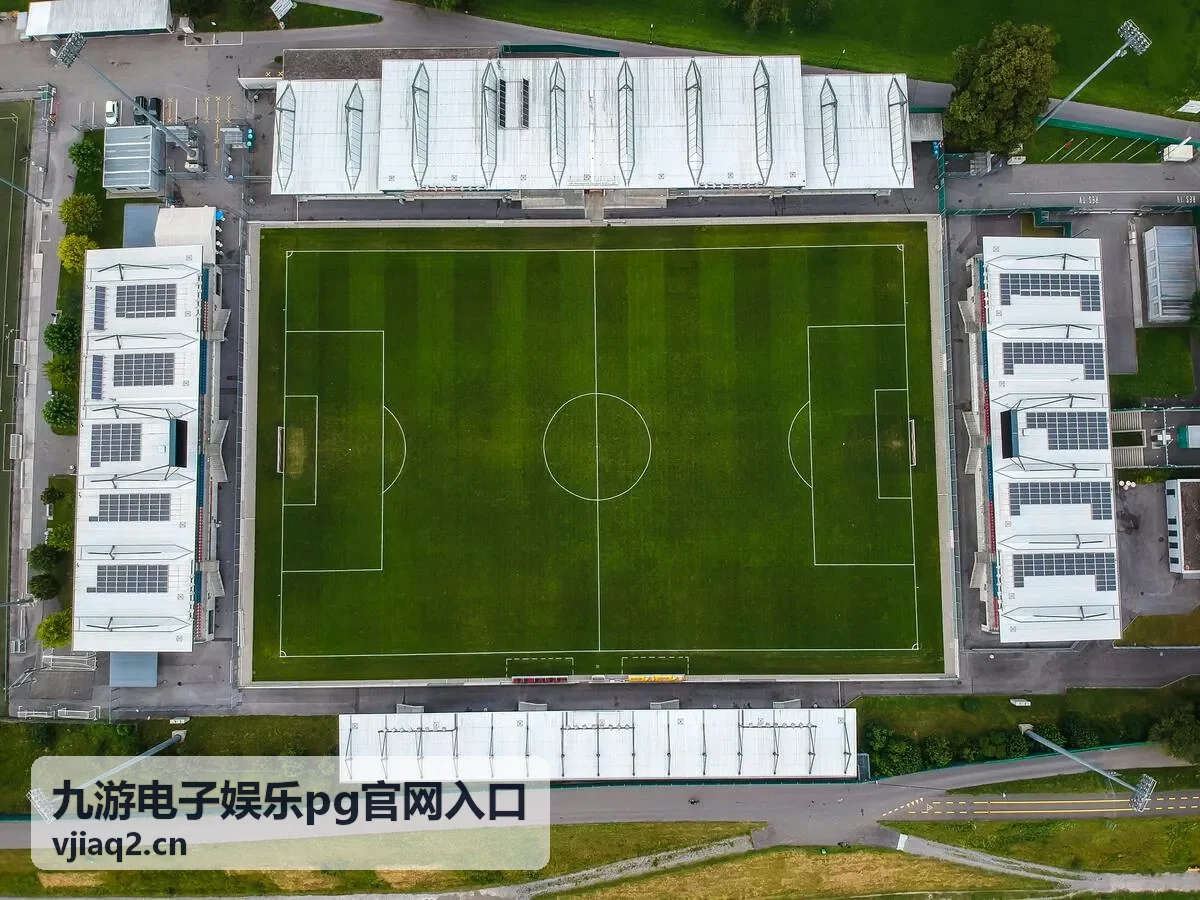 九游电子娱乐pg官网入口最新信息配图